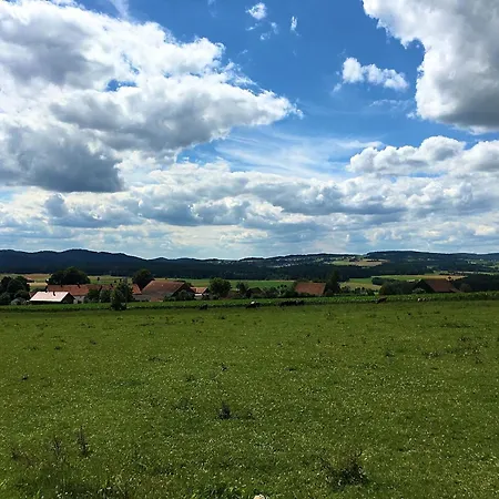 Modern Near Forest In